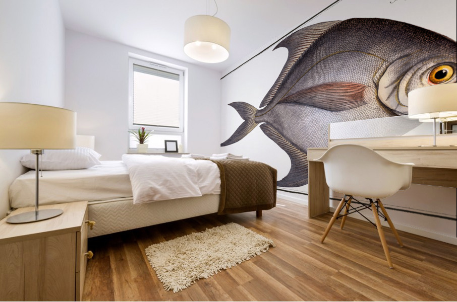 Gray Stromate Stromateus cinereus Mural print