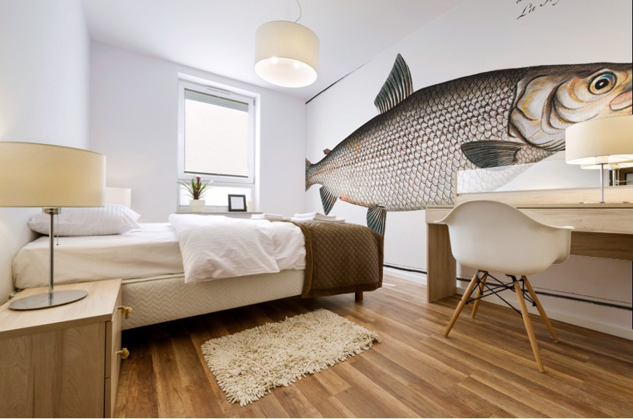 Broad-Gwiniad Salmo Thymallus latus Mural print