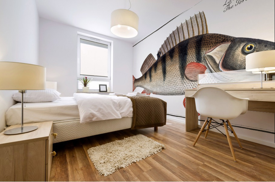 Perch Perca Fluviatilis Mural print
