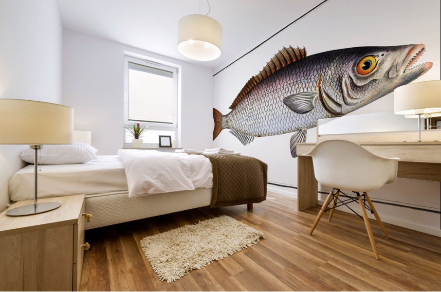 Gold-eye Lutianus chrysops Mural print