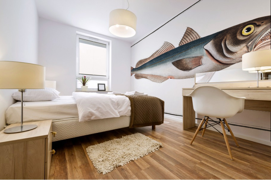 Hake Gadus Merluccius Mural print