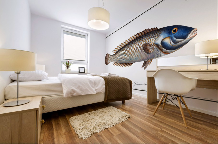 Blue-head Labrus cyanocephalus Mural print