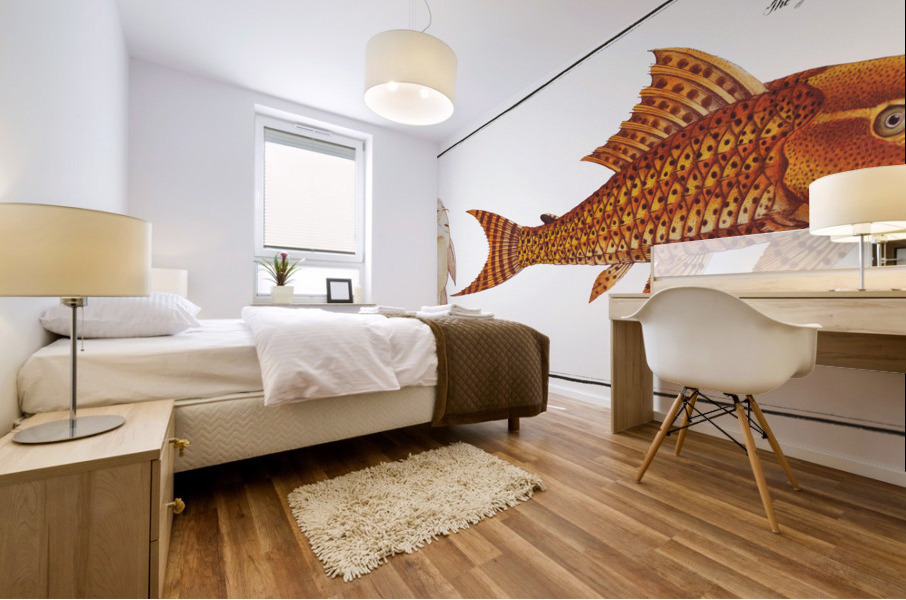 Guacari Loricaria plecostomus Mural print