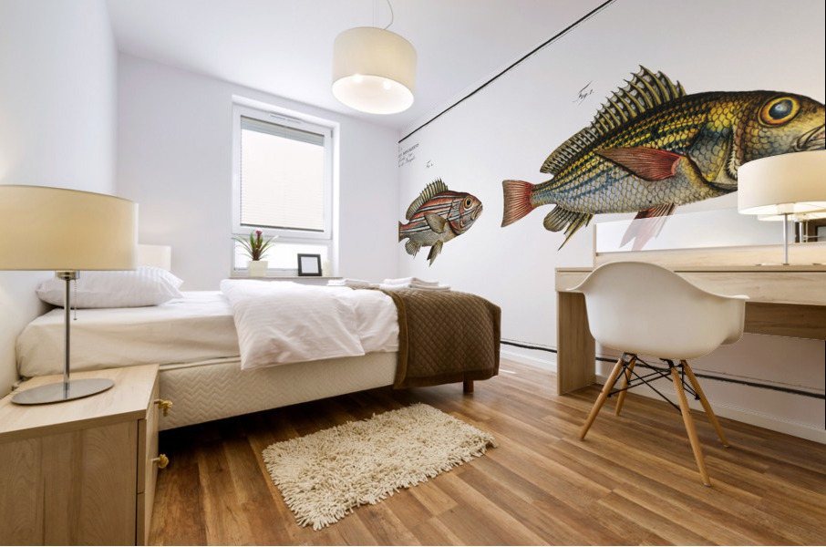 1. Lutjanus Hasta 2. Holocentrus bengalensis Impression murale