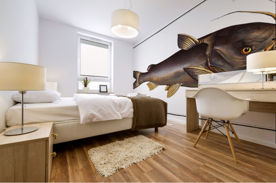 Silver-Silure Silurus Herzbergii Mural print