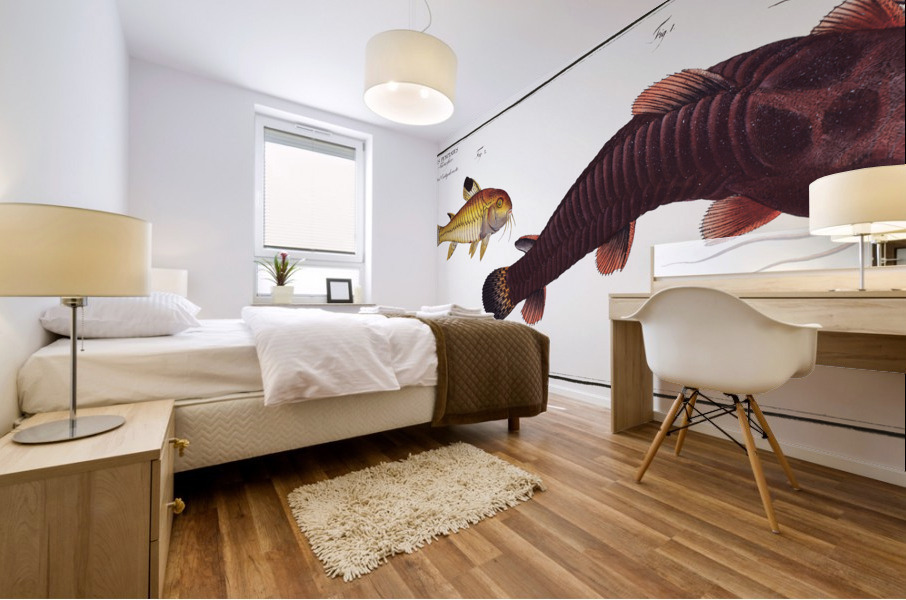 1. Tamoate Cataphractus Callychthis 2. Punctulated Cataphracte Cataphractus punctatus Mural print