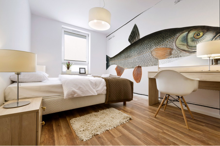 Dobula Cyprinus Dobula Mural print