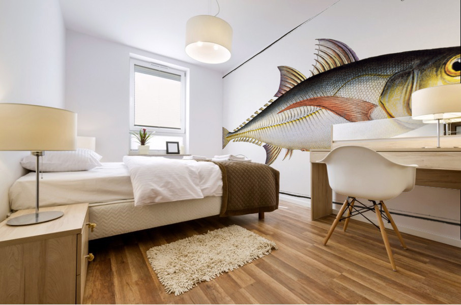 Rottlers Mackrel Scomber Rottleri Mural print