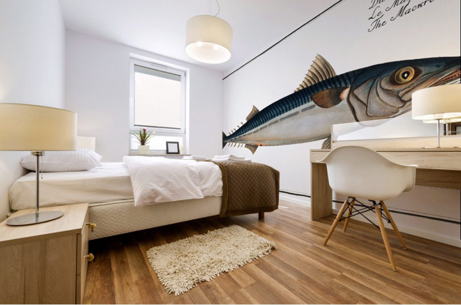 Mackrel Scomber Scomber Mural print