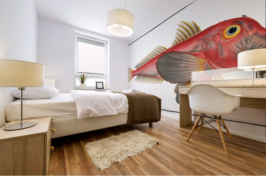 Piper Trigla Lyra Mural print