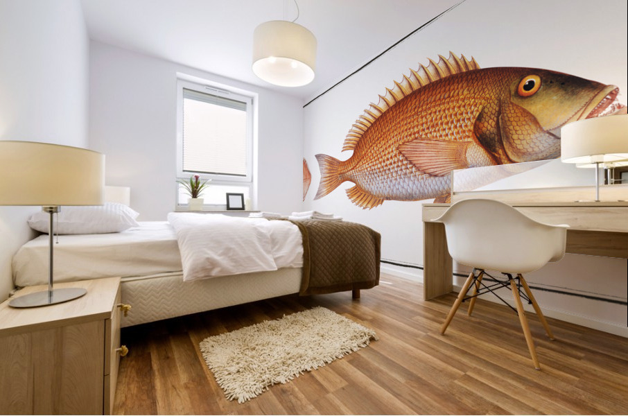 Sea-Rough Sparus Dentex Mural print