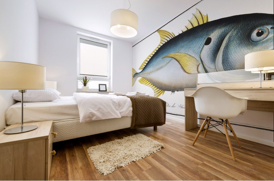 Carangoe Scomber Carangus Mural print