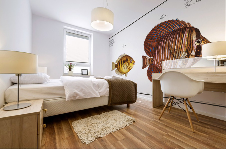 1. Sail Acanthurus Velifer 2. Maculated Chetodon Chaetodon maculatus Mural print