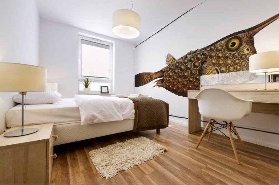 Horn-fish Ostracion Cornutus Impression murale