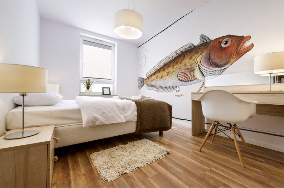 Blennius superciliosus Mural print