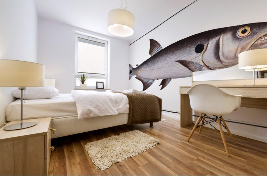 Sickle-Salmon Salmo falcatus Mural print