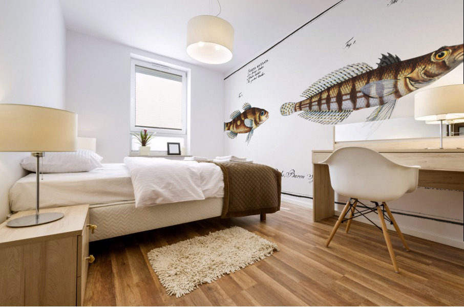 1. Cylindric Umber Sciaena cylindrica 2. Spotted Umber Sciaena maculata Mural print