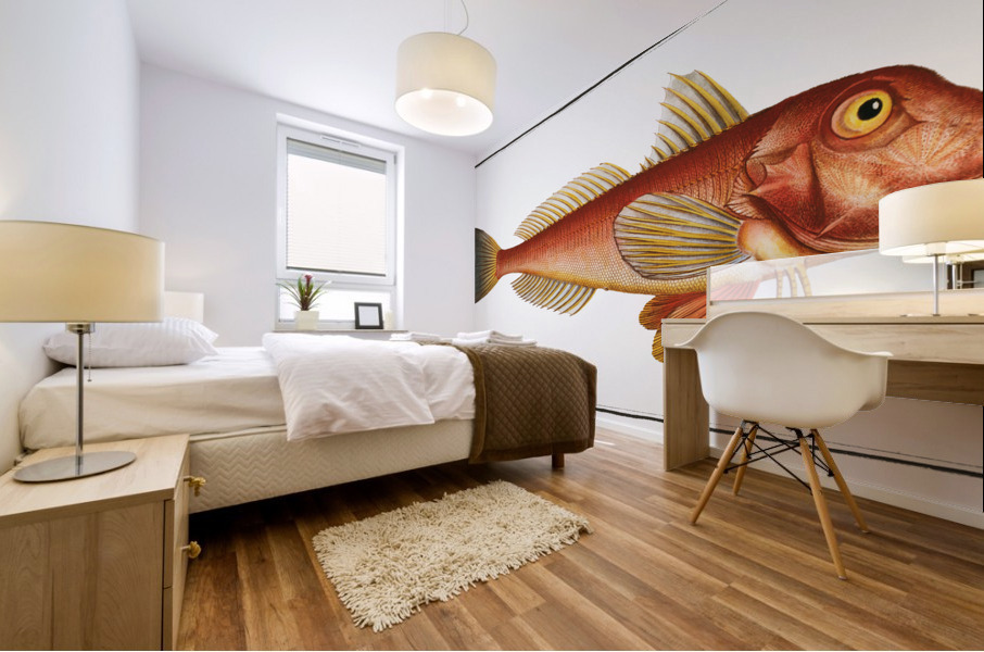 Pine-bough Trigla Pini Mural print