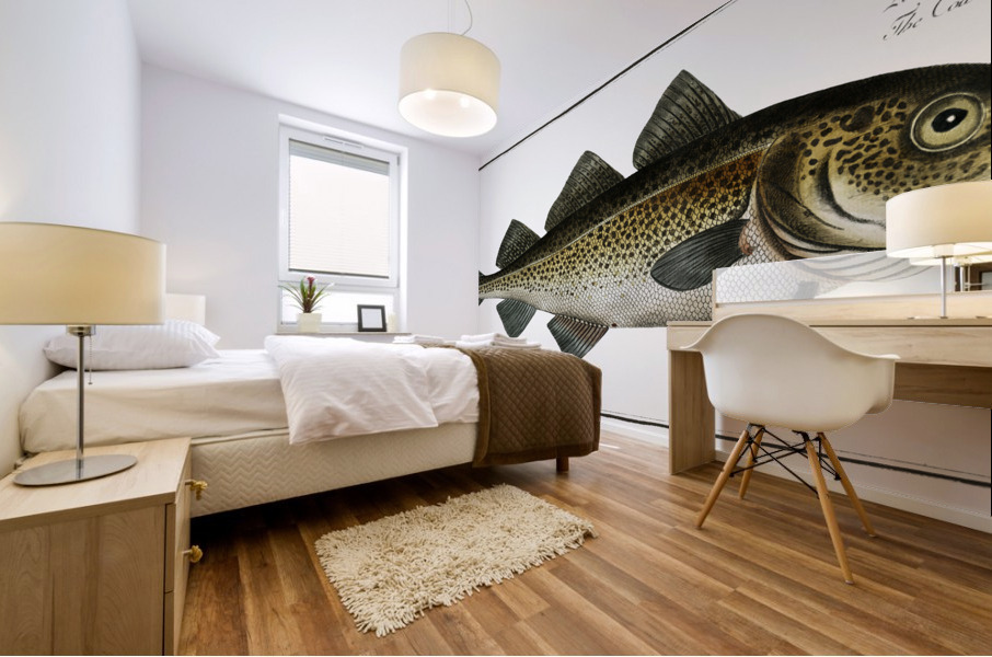 Cod Fish Gadus Morhua Mural print