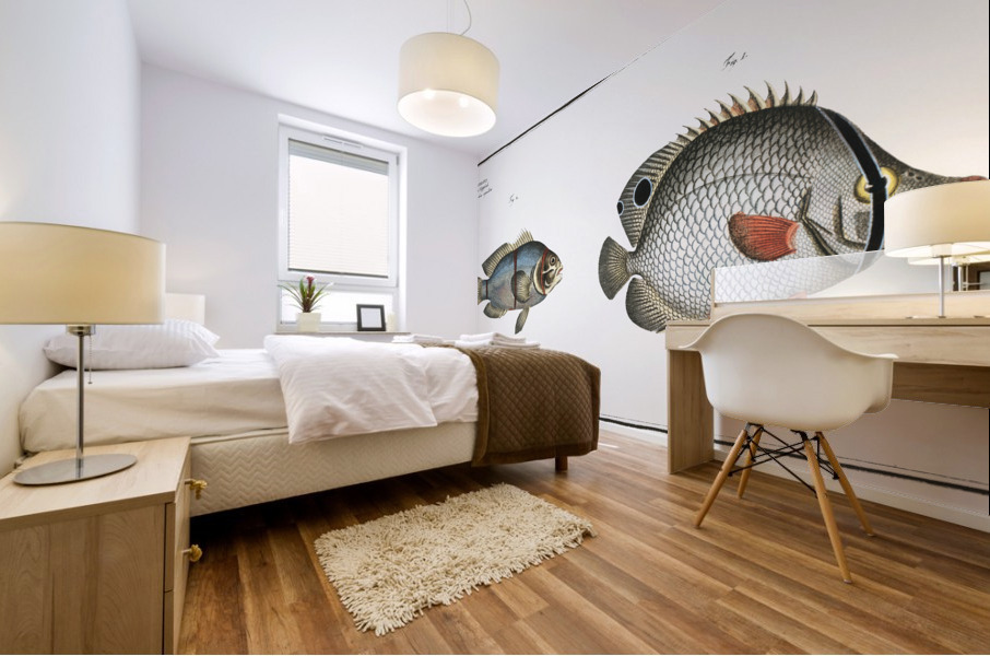 1. Chaetodon bimaculatus 2. Chaetodon biaculeatus Mural print