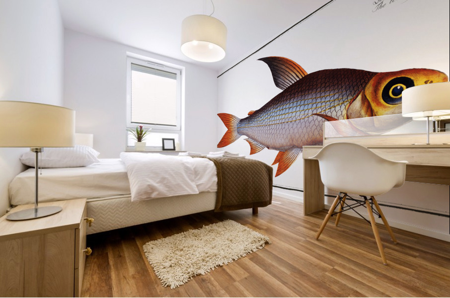 Toothless Salmon Salmo edentulus Mural print