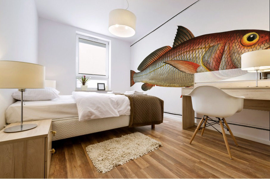 Aney Johnius Aneus Mural print