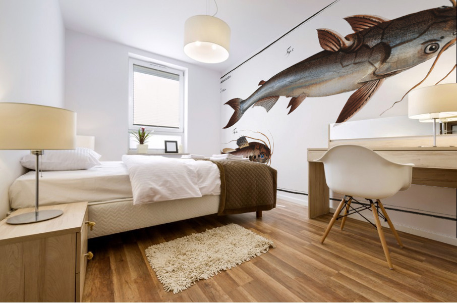 1. Knotty Silure Silurus Nodosus 2. Four spotted Silure Silurus Quadrimaculatus Mural print