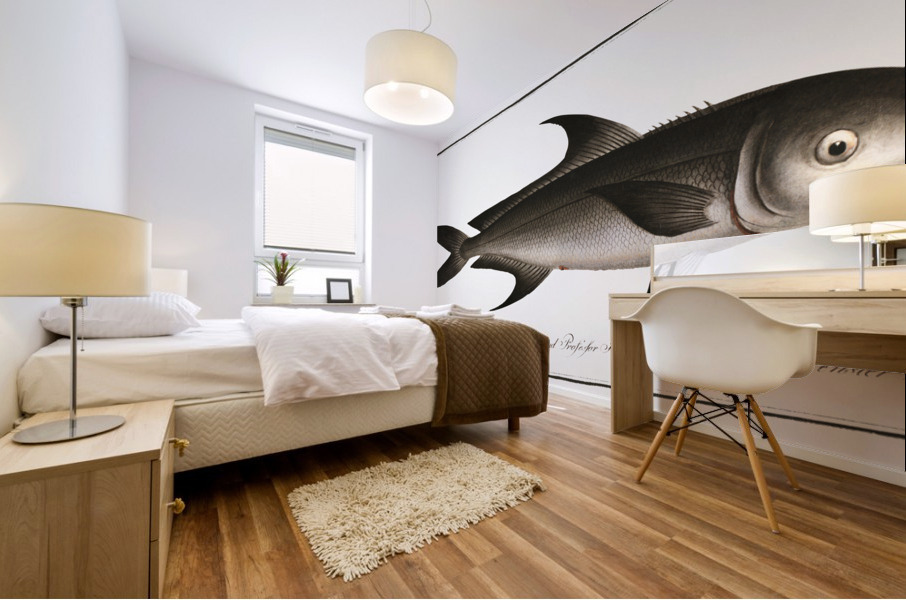 Negro-Mackrel Scomber niger Mural print