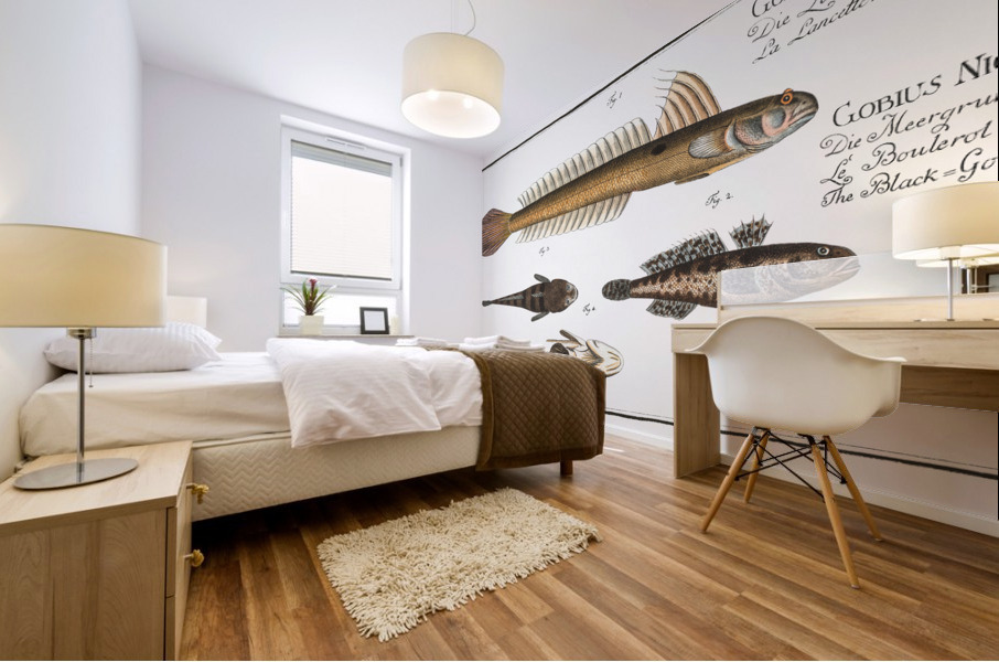 1. 4. Lancet-Goby Gobius Lanceolatus 2. 3. Black Goby Gobius Niger Mural print