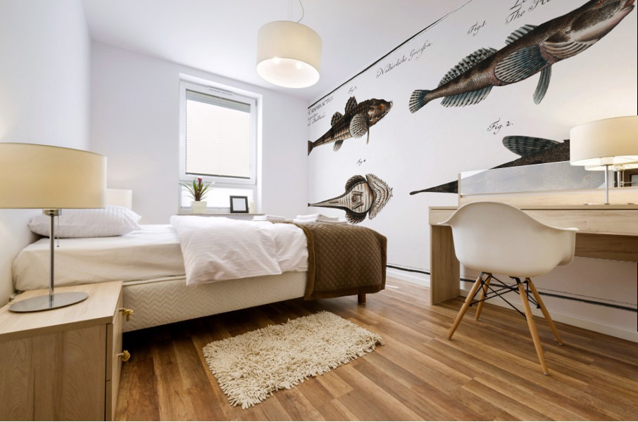 1. 2. River Bullhead Cottus Gobio 3. 4. Armed Bullhead Cottus Cataphractus Mural print