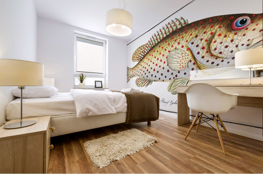 Dropped Perch Perca maculata Mural print