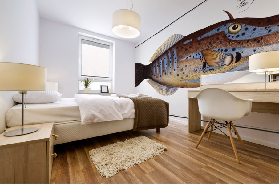 Smooth old Wife Balistes laevis Mural print