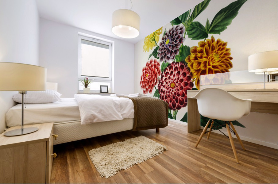 Dahlia Mural print