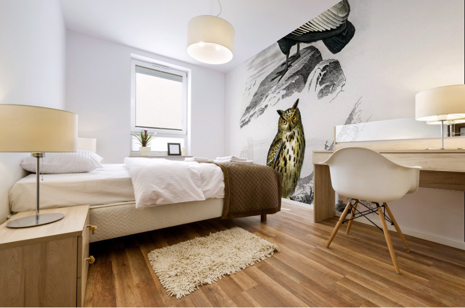 European Hedgehog Erinaceus Europaeus and Common Treeshrew Tupaia Glis Mural print