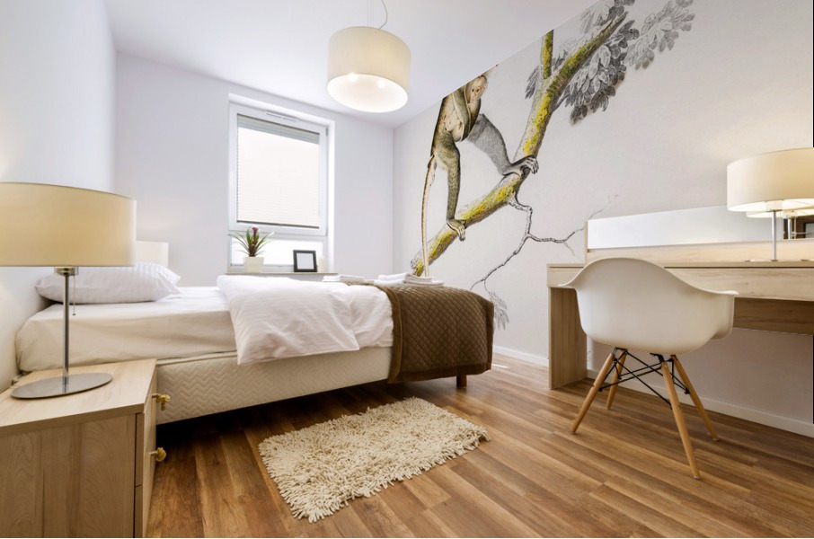 Cercopithecus griseus Guenon Grivet Mural print