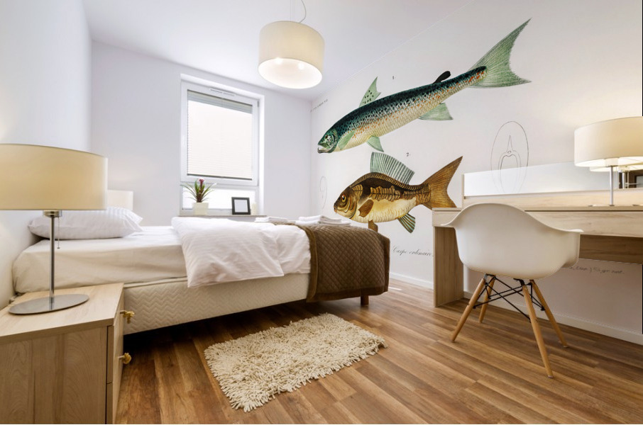 Salmo Hamatus and Cyprinus Carpio Mural print