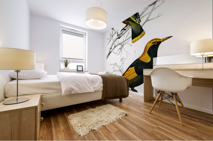 Different types of birds Mural print