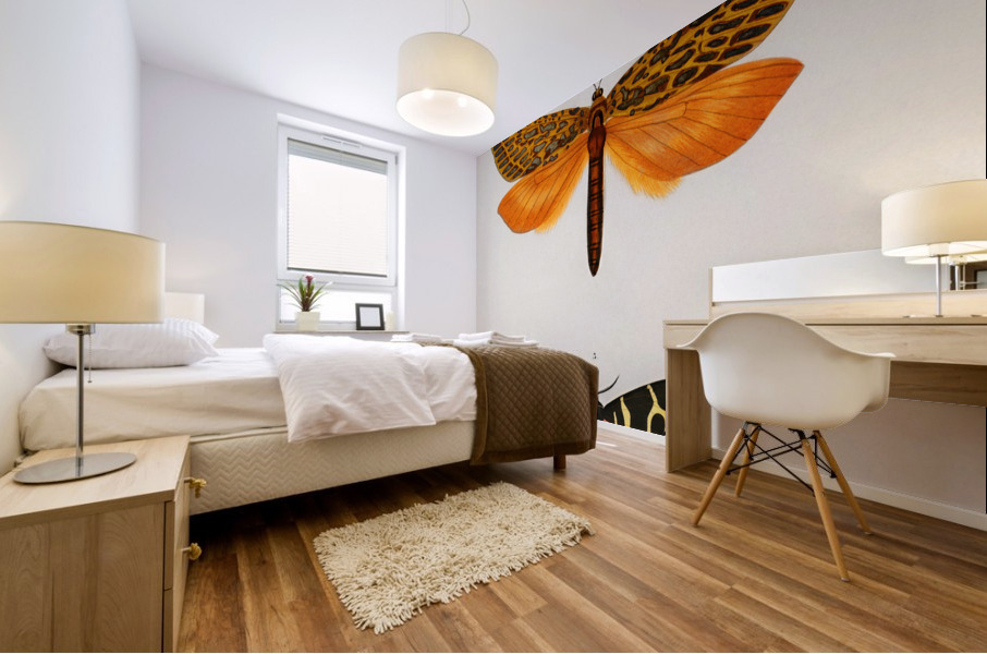 Different types of moths Mural print