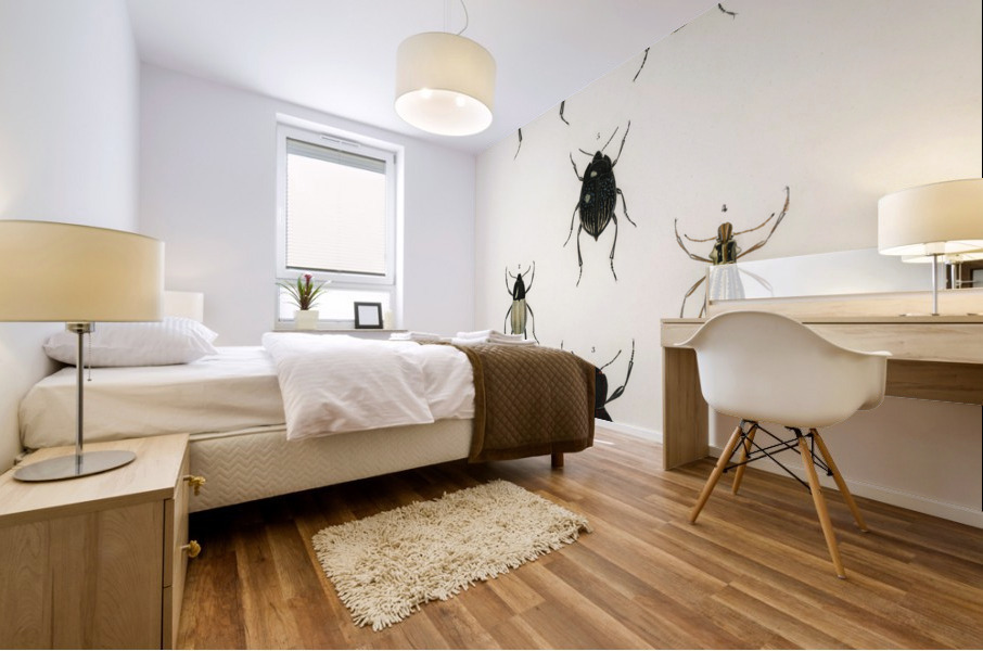 Different types of beetles Mural print