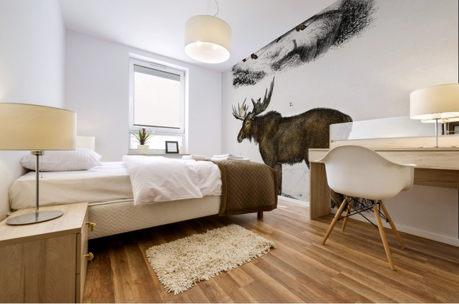 Different types of insects Mural print