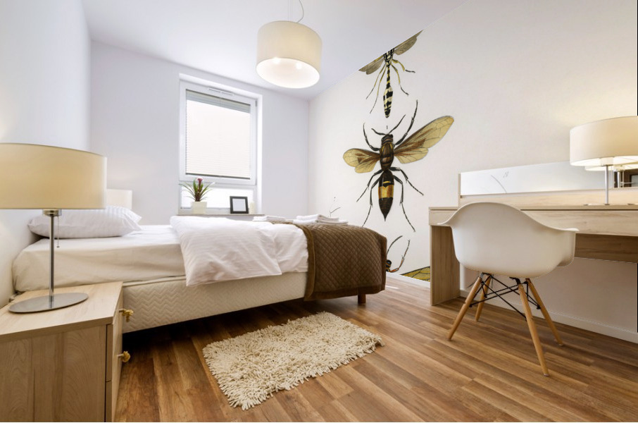 Different types of wasps Mural print