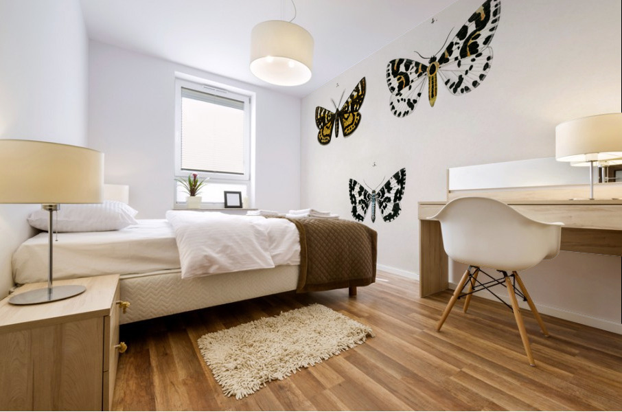 Collection of moths Mural print