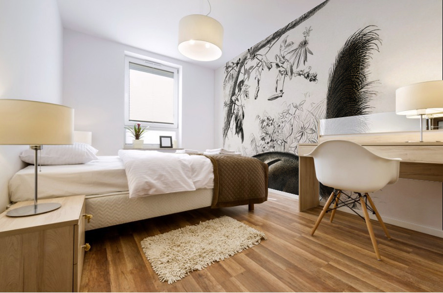 Pygmy anteater Cyclopes didactylus and Giant anteater Myrmecophaga tridactyla Mural print