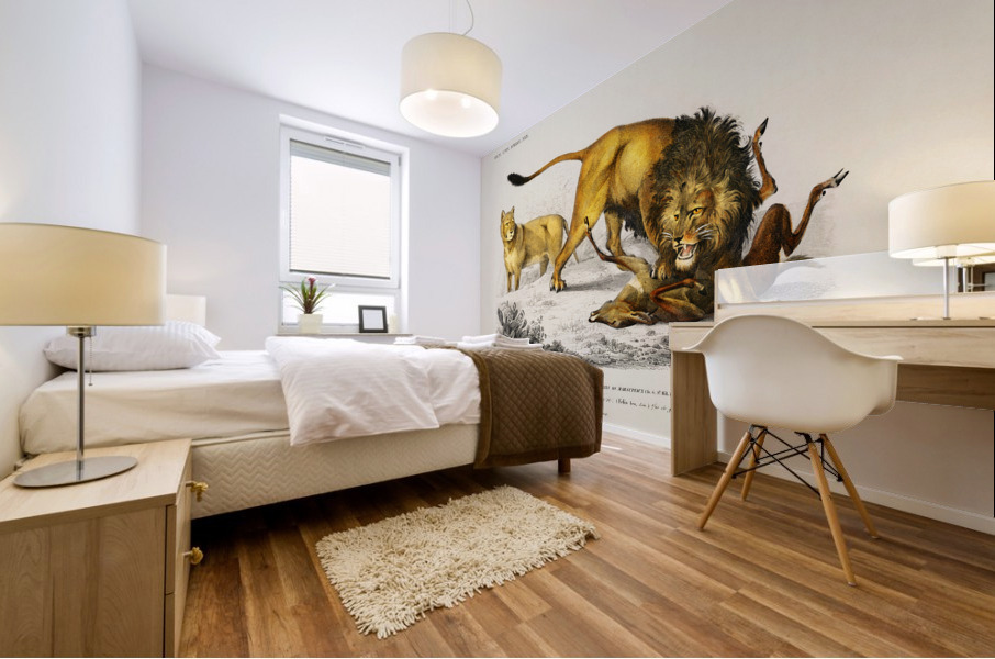 Lion Panthera Leo Mural print