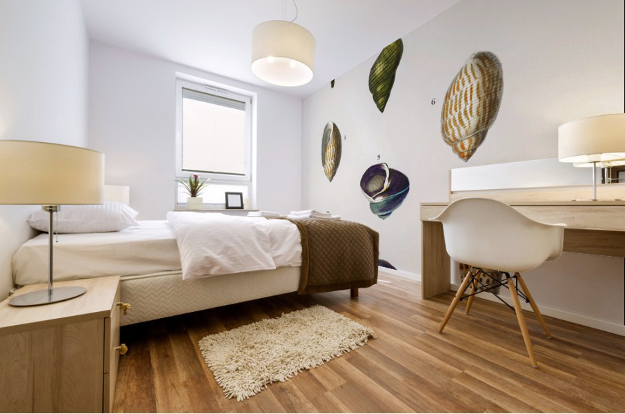 Different types of mollusks Mural print