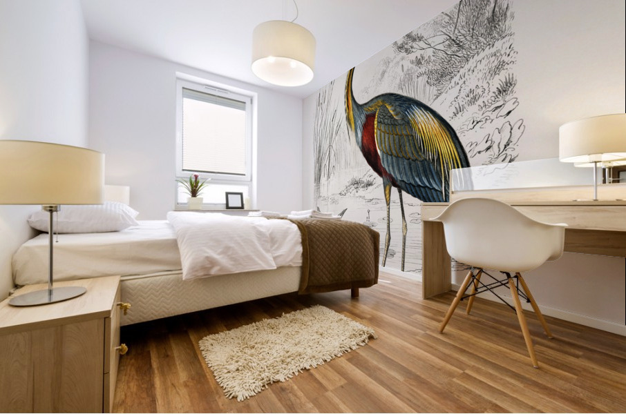 Purple heron Ardea purpurea Mural print