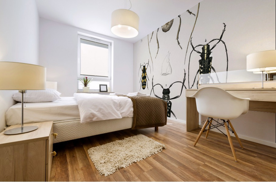 Different types of beetles Mural print