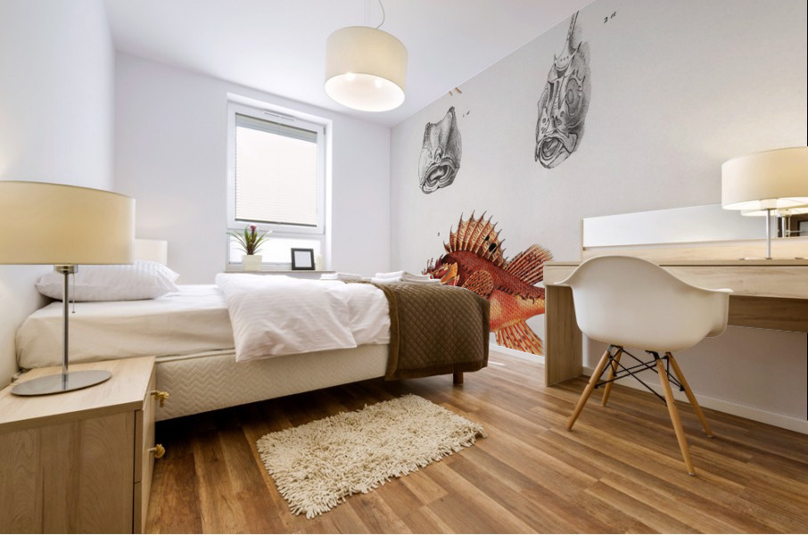 Different types of fishes Mural print