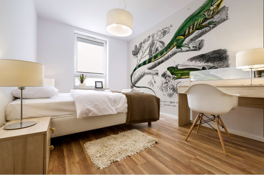 Different types of mollusks Mural print