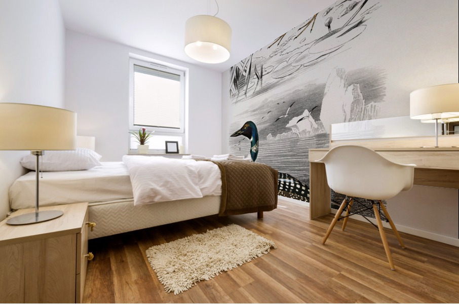 Different types of birds Mural print